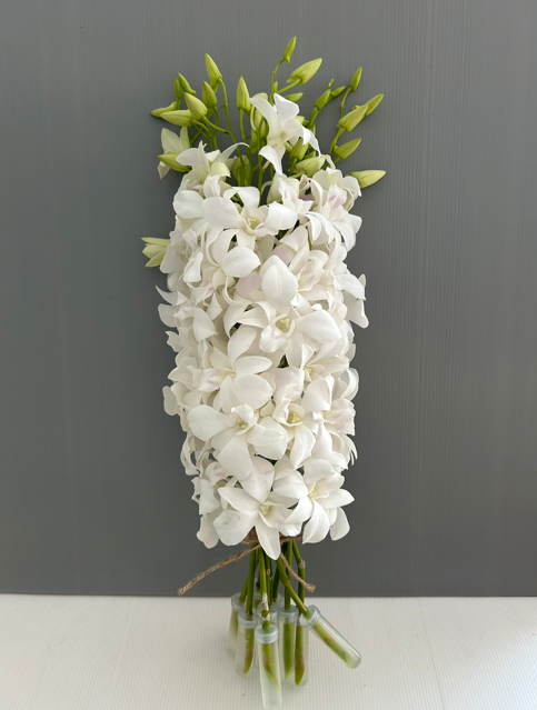 Snow White thumbnail