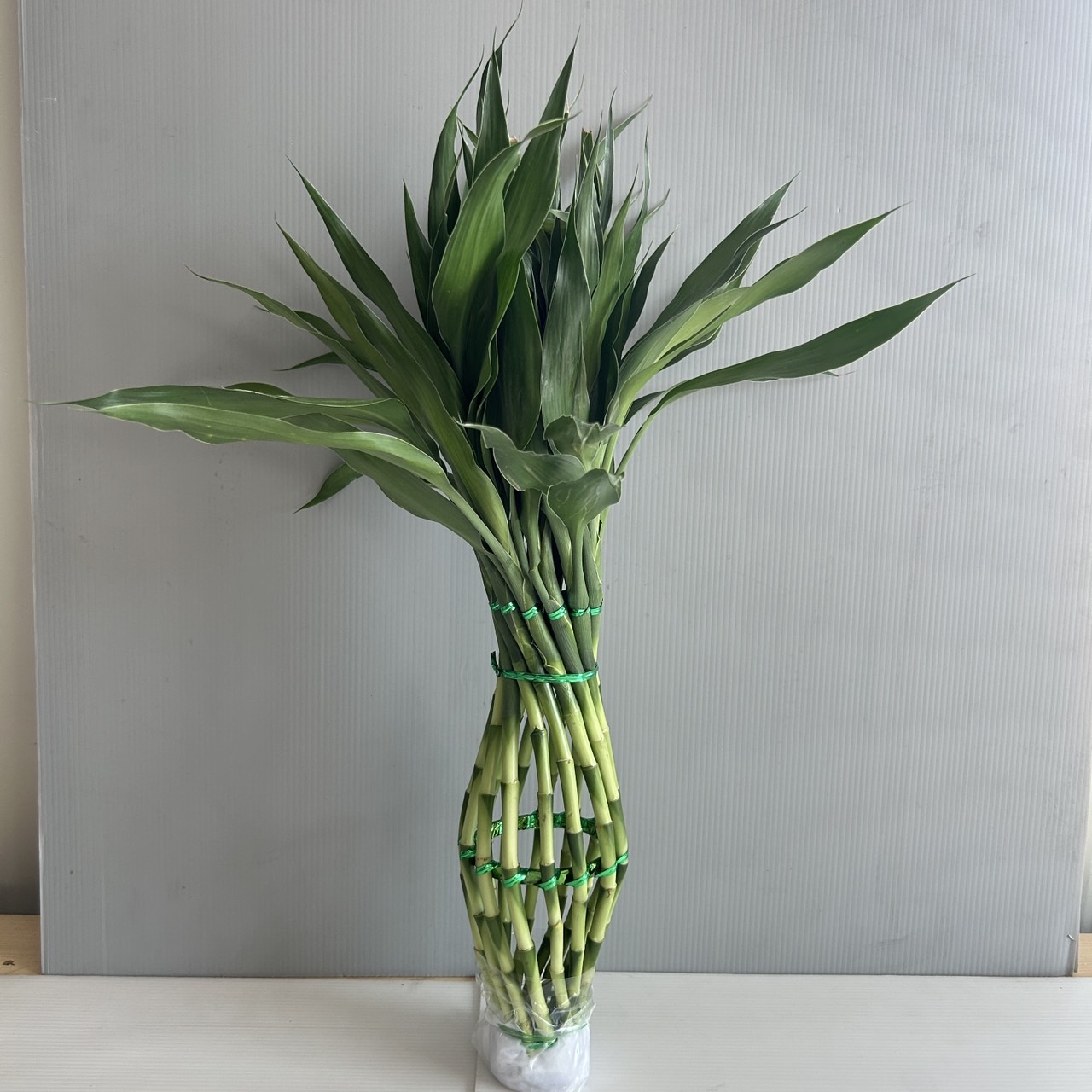 Bowling Braided Bamboo image