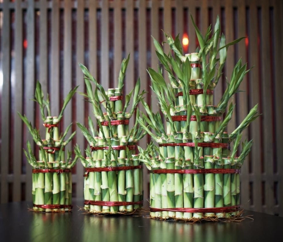 Bamboo Tower image