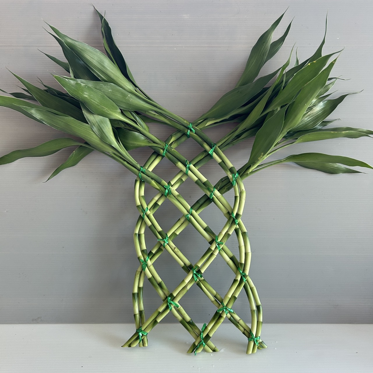 Large Wall Lucky Bamboo image